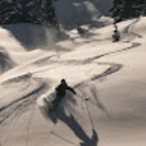 Meet your Posher, Colleen